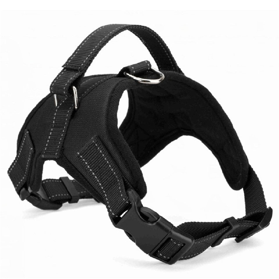 Arnés de Nylon para perro de alta resistencia ajustable y acolchado